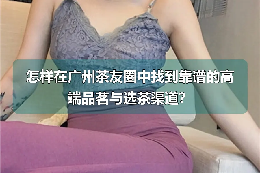 怎样在广州茶友圈中找到靠谱的高端品茗与选茶渠道？